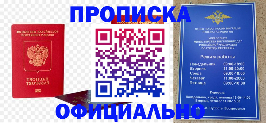 прописка иностранных граждан в Домодедово